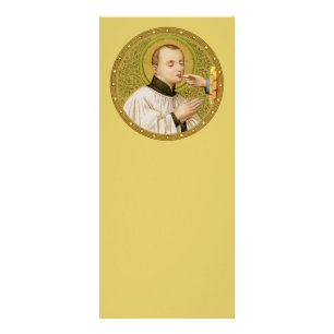 Publicitaria Tarjeta De Rack 1 St. Stanislaus Kostka (SNV25) (R