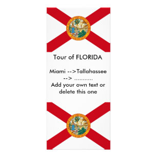 Publicitaria Tarjeta para rack con bandera de Florida, EE.UU.