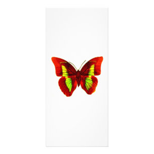 Publicitaria Tarjeta para rack de mariposa
