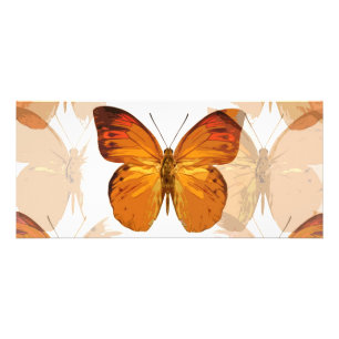 Publicitaria Tarjeta para rack de mariposa