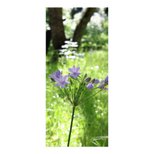 Publicitaria Tarjeta púrpura del estante del Wildflower