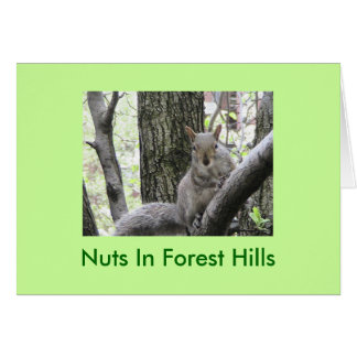 Pucci pega una actitud, nueces en Forest Hills