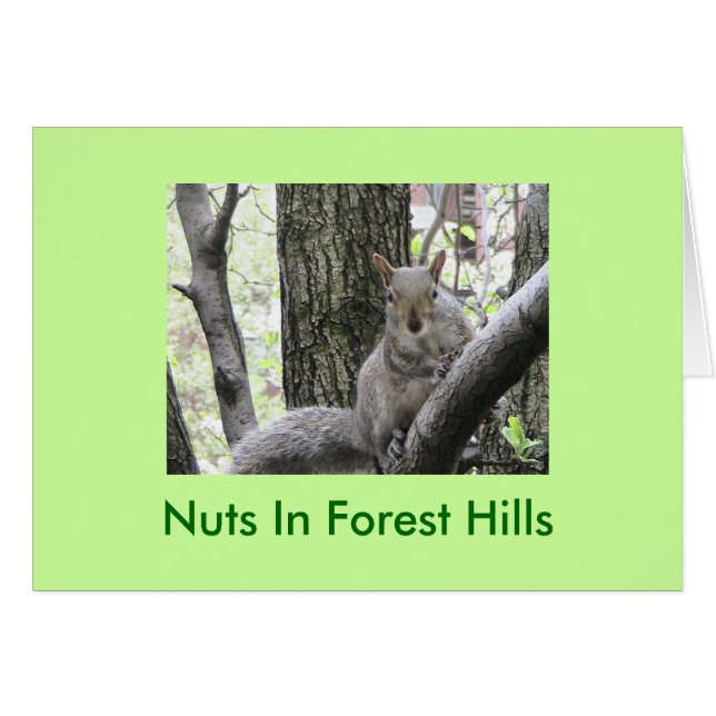 Pucci pega una actitud, nueces en Forest Hills (Anverso (Horizontal))