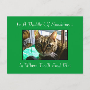 Puddle De La Postales Sunshine