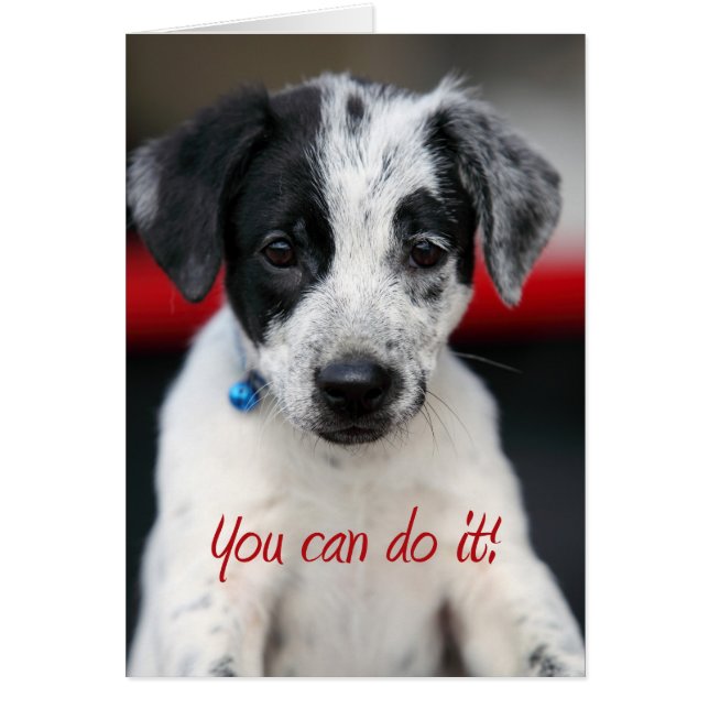 puede hacerlo (Frente)