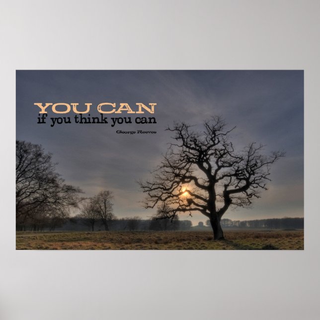 Puede imprimir Posters motivacionales (Frente)