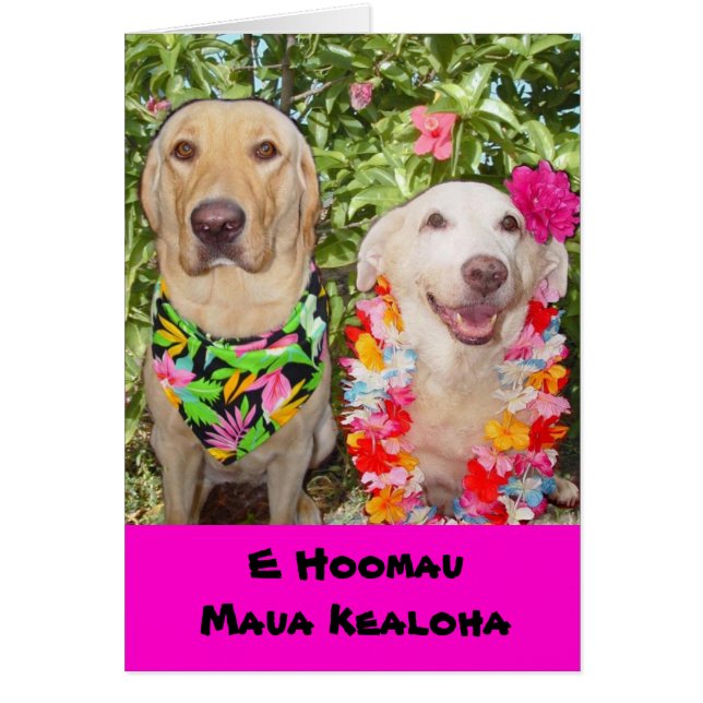 ¡Puede nuestro último del amor para siempre! (Frente)