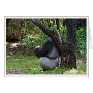 ¿"Puede usted ahora verme? "