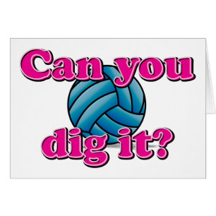 ¿Puede usted cavarlo? ¡Voleibol!