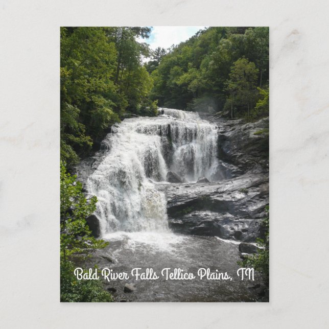 Puedes Agradecer La Postales Verticales Lluviosas (Anverso)