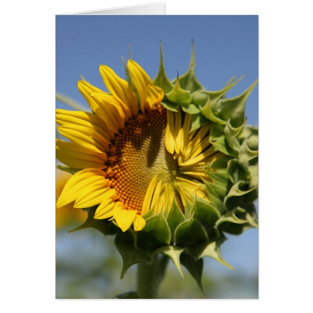 Puedes hacer esto (Frente)