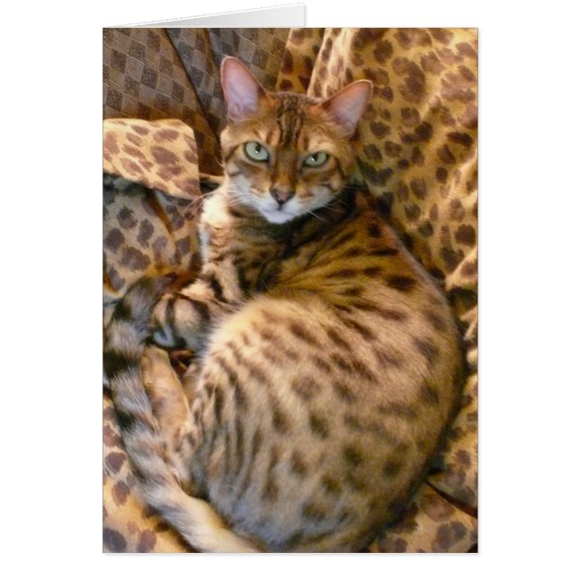 ¿Puedes verme? (Frente)