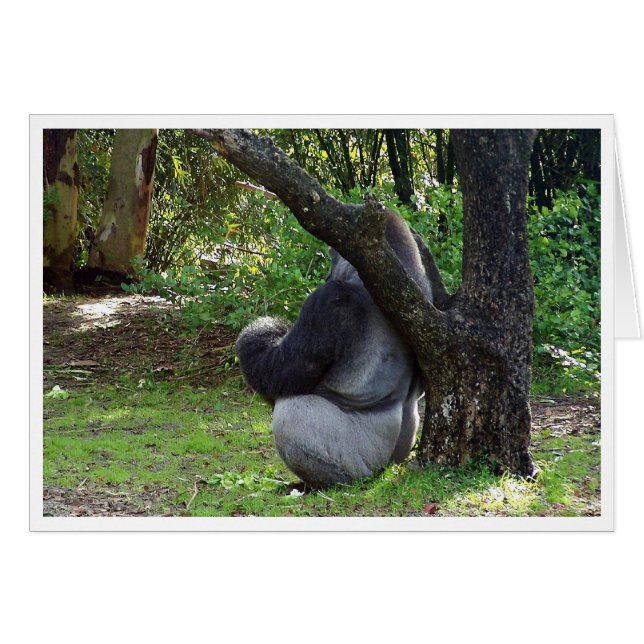 "¿Puedes verme ahora?" (Anverso (Horizontal))