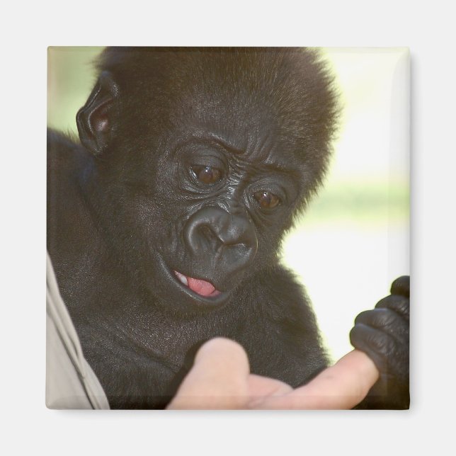 ¿Puedo cogerte la mano? Imán (Frente)