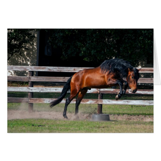 Puedo Saltar (Anverso (Horizontal))