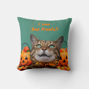 puedo tener Cojín decorativo para gatos