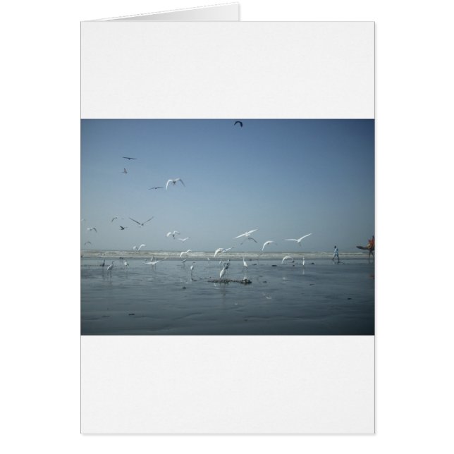 Puedo volar (Frente)