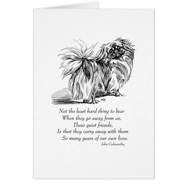 Puente arcoiris de perro de Pekín (Frente)