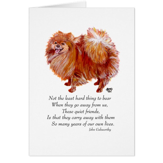 Puente arcoiris de Pomerania (Frente)