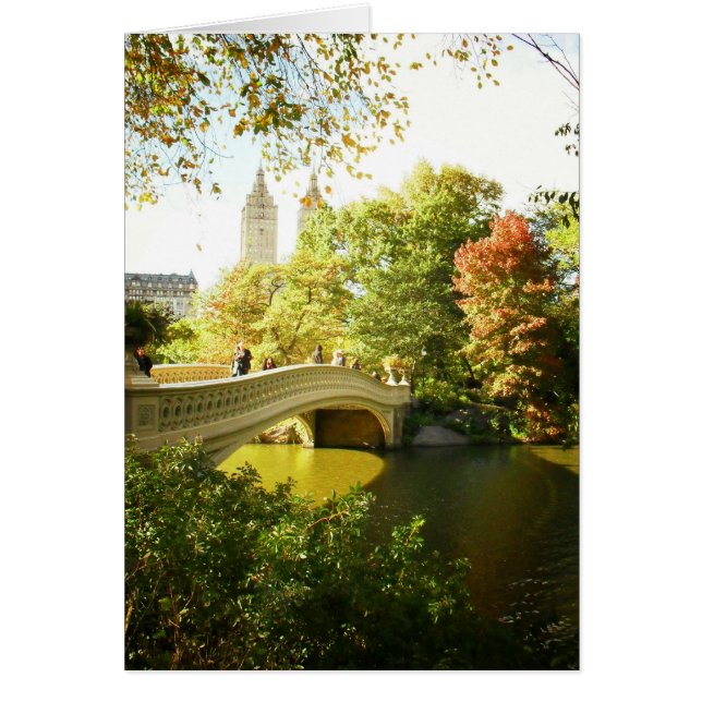 Puente Bow, Central Park, verano tardío, NYC (Frente)