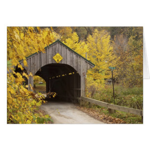 Puente cubierto, Vermont, Estados Unidos 2