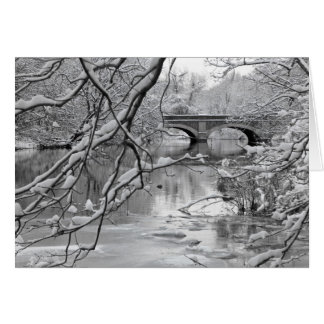 Puente de arco sobre río congelado en invierno