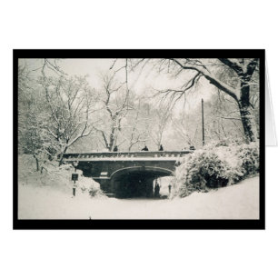 puente de Central Park
