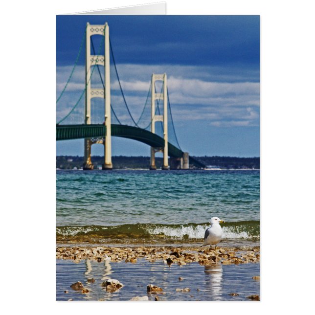Puente de gaviota y mackinac (Frente)