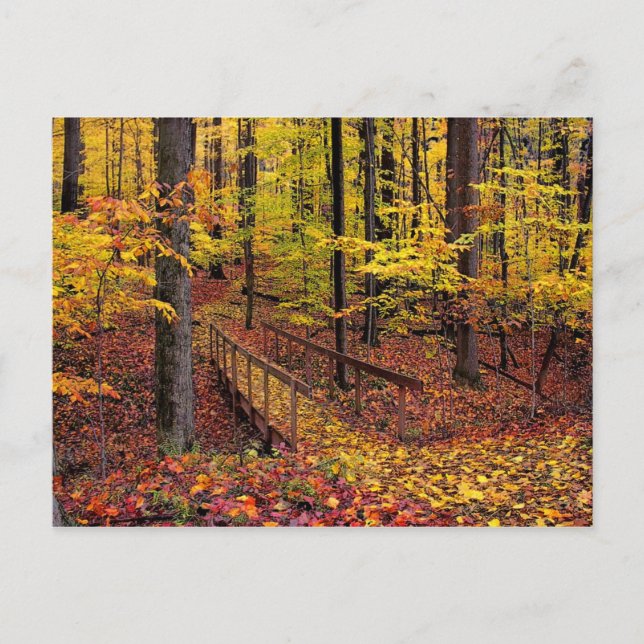 Puente de pie de otoño, postal (Anverso)