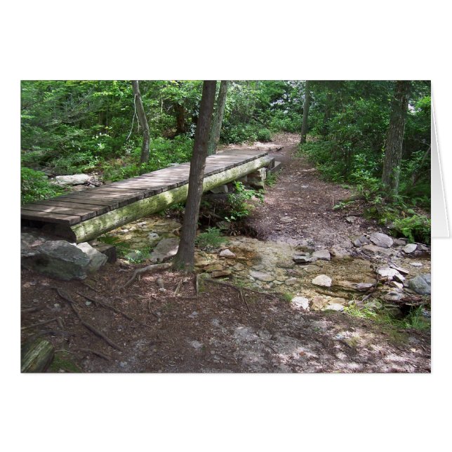 Puente de rastro apalache (Anverso (Horizontal))
