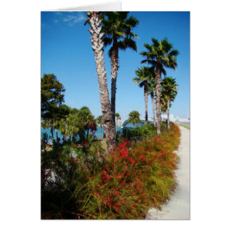 Puente de ringling de Sarasota