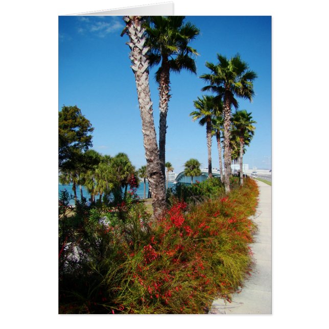 Puente de ringling de Sarasota (Frente)