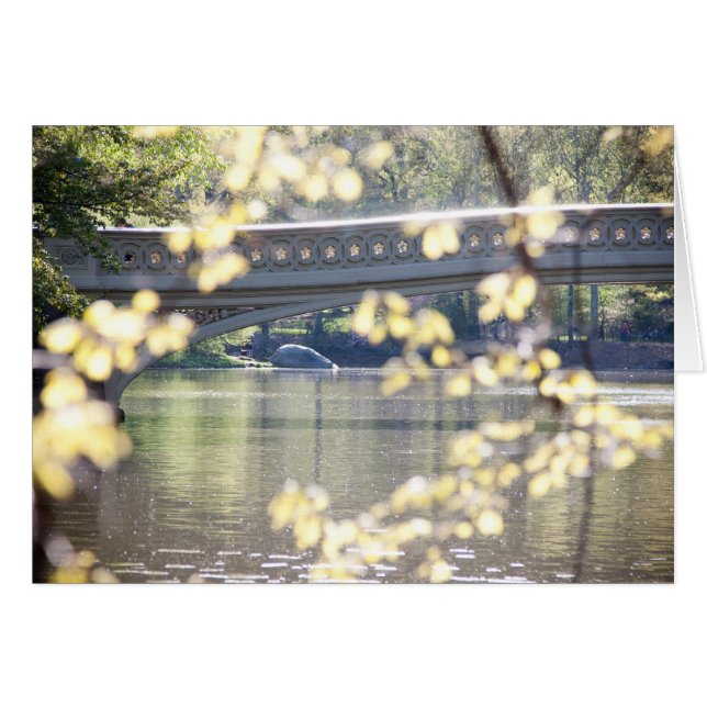 Puente del arco en verano (Anverso (Horizontal))