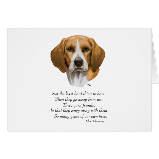 Puente del Arcoiris Beagle (Anverso (Horizontal))