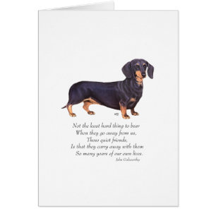 Puente del Arcoíris del Dachshund