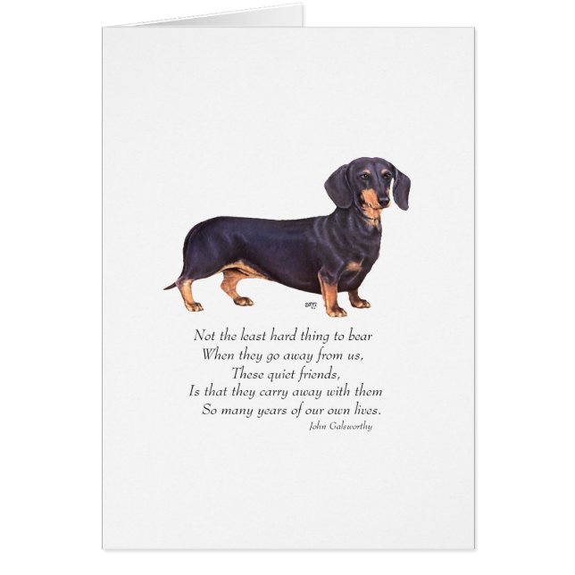 Puente del Arcoíris del Dachshund (Frente)