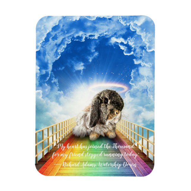 Puente del imán de muchos colores (Vertical)