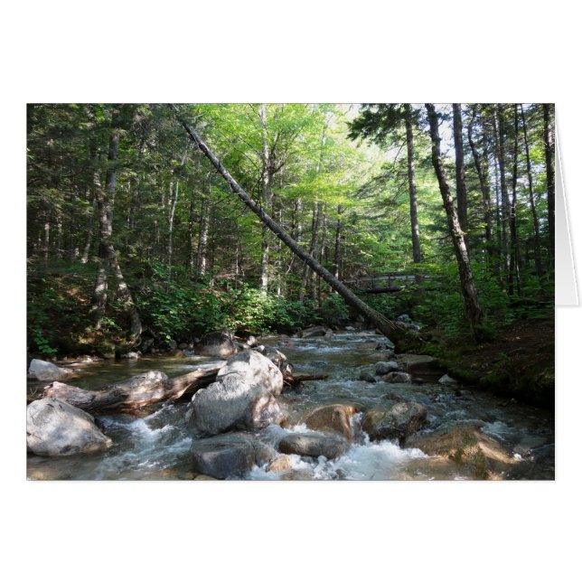 Puente del río Pemigewasset en Nuevo Hampshire (Anverso (Horizontal))