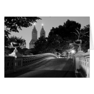 Puente en la oscuridad, Central Park del arco