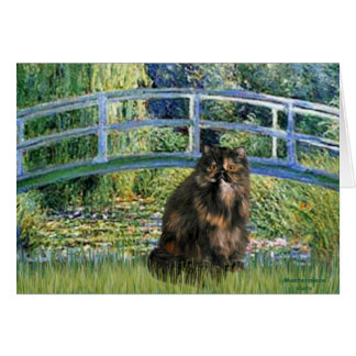 Puente - gato calico persa