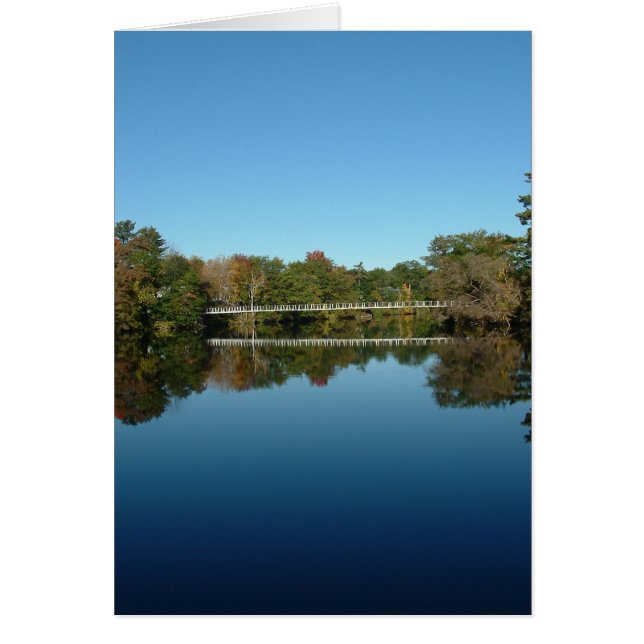 Puente giratorio (Frente)