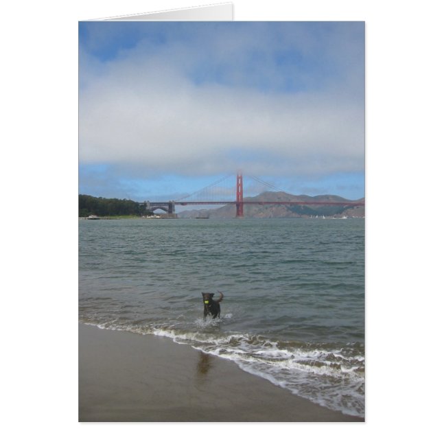 Puente Golden Gate Jake (Frente)