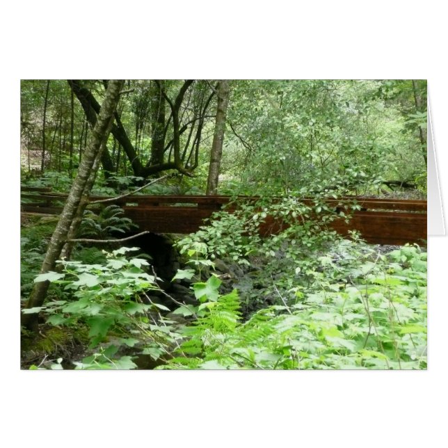 Puente Muir Woods I (Anverso (Horizontal))