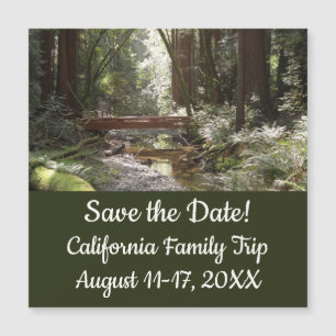 Puente Muir Woods II