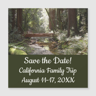 Puente Muir Woods II