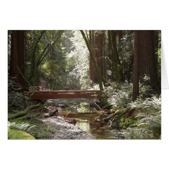 Puente Muir Woods II (Anverso (Horizontal))