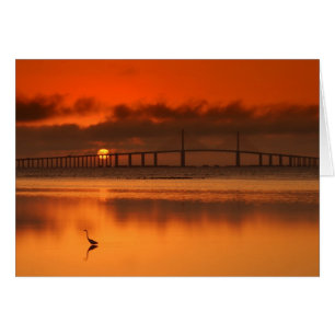 Puente Skyway
