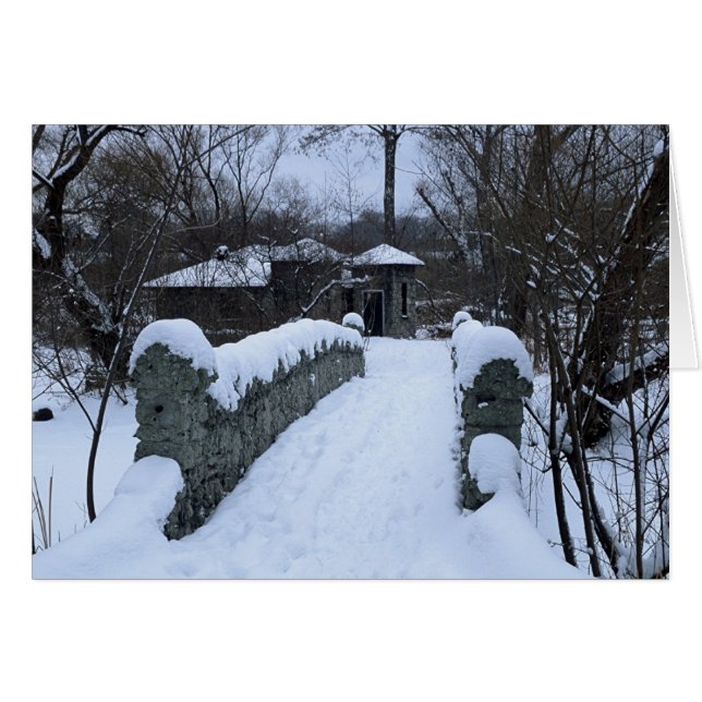 Puente Snowy (Anverso (Horizontal))