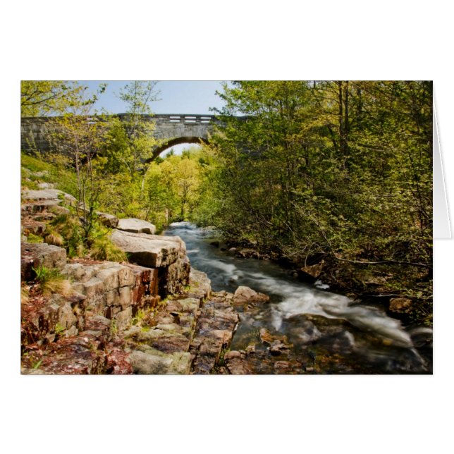 Puente sobre el río (Anverso (Horizontal))