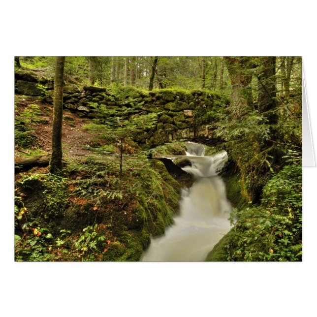 puente viejo postal (Anverso (Horizontal))